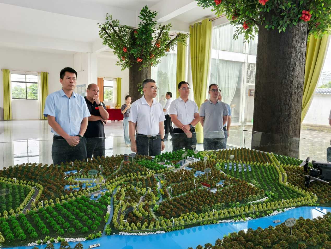 黃智宇調(diào)研欽州市靈山縣人工智能應(yīng)用軟件開發(fā)工作 以數(shù)字技術(shù)賦能產(chǎn)業(yè)升級(jí)與區(qū)域發(fā)展