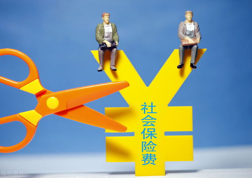車輛保險費(fèi)與勞務(wù)服務(wù)的進(jìn)項(xiàng)稅額扣除問題解析